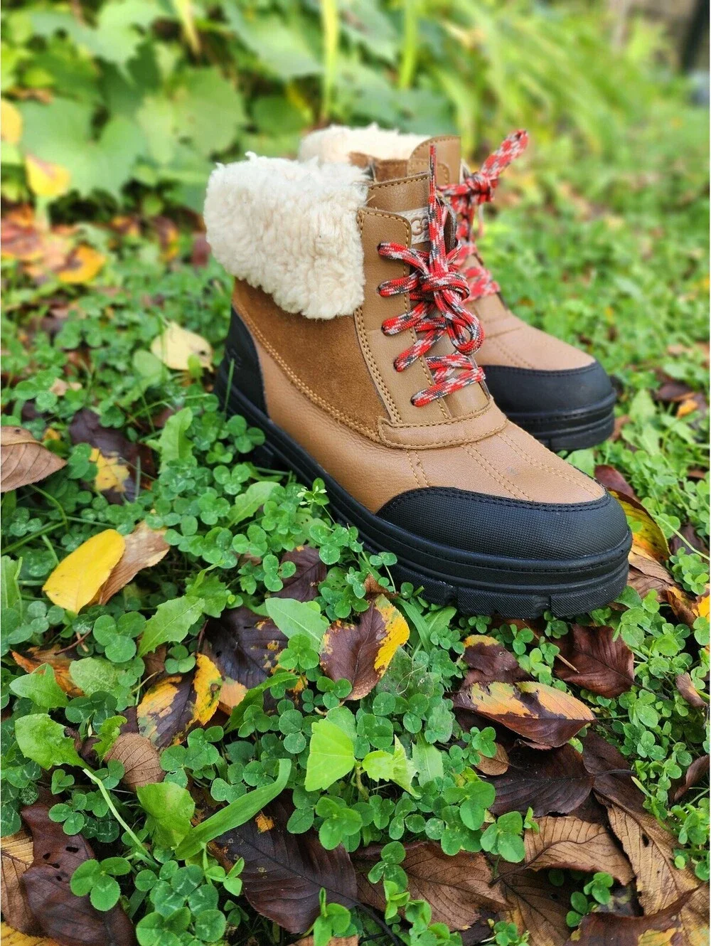 Size 6 - UGG Ashton Addie Lace-Up Ankle Boot